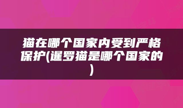 猫在哪个国家内受到严格保护(暹罗猫是哪个国家的)