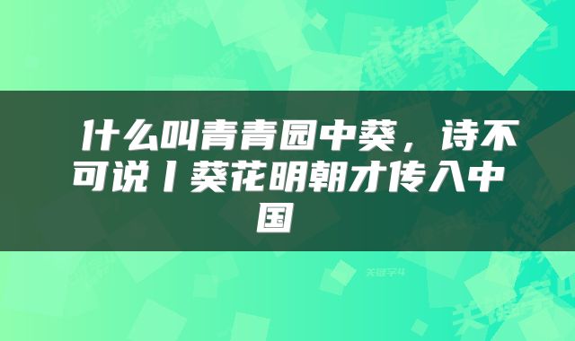  什么叫青青园中葵，诗不可说丨葵花明朝才传入中国 