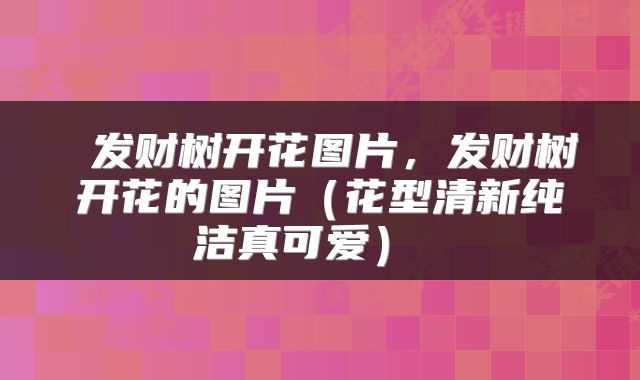 发财树开花图片,发财树开花的图片(花型清新纯洁真可爱)