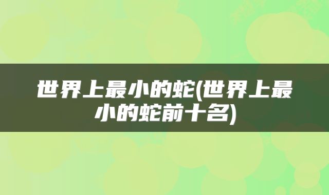 世界上最小的蛇(世界上最小的蛇前十名)