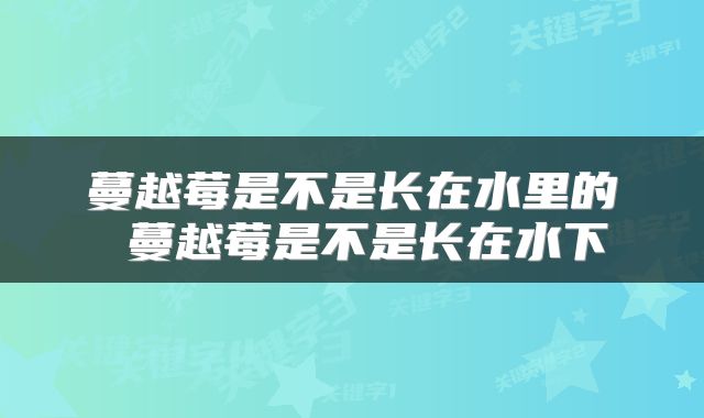 蔓越莓是不是长在水里的 蔓越莓是不是长在水下