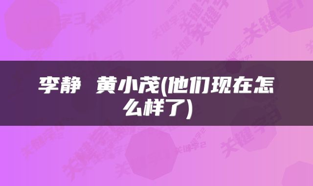 李静 黄小茂(他们现在怎么样了)