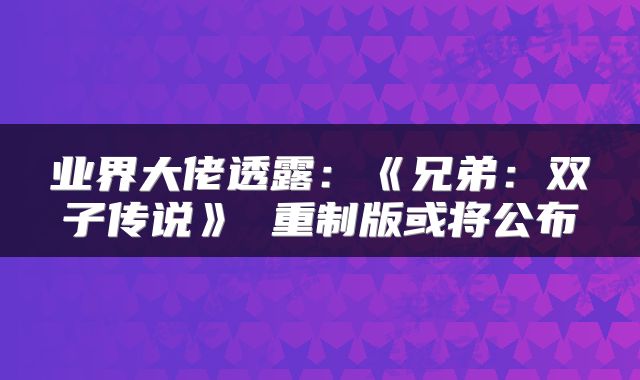 业界大佬透露：《兄弟：双子传说》 重制版或将公布