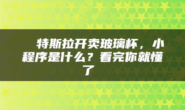  ​特斯拉开卖玻璃杯，小程序是什么？看完你就懂了 