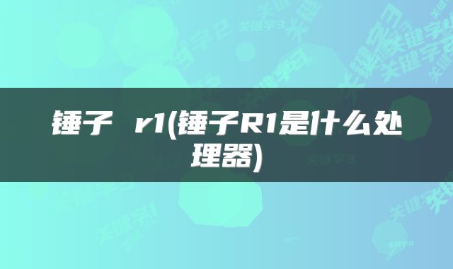 锤子 r1(锤子R1是什么处理器)