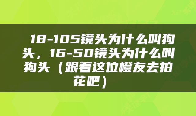 18-105镜头为什么叫狗头,16-50镜头为什么叫狗头(跟着这位橙友去拍花吧)
