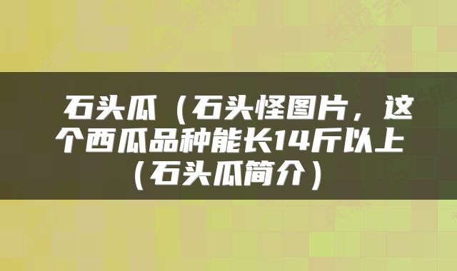  石头瓜（石头怪图片，这个西瓜品种能长14斤以上（石头瓜简介） 