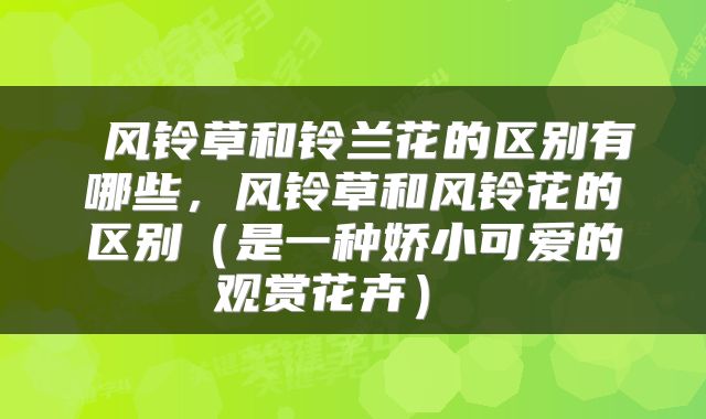 风铃草和铃兰花的区别有哪些,风铃草和风铃花的区别(是一种娇小可爱的观赏花卉)