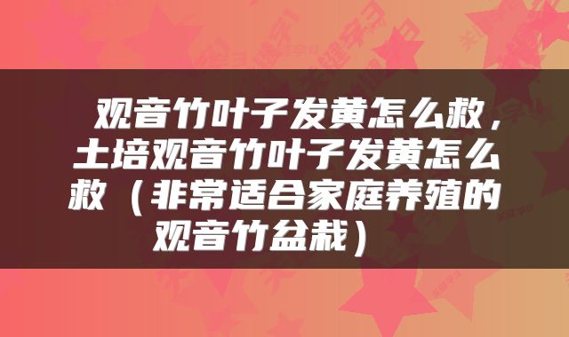  观音竹叶子发黄怎么救，土培观音竹叶子发黄怎么救（非常适合家庭养殖的观音竹盆栽） 