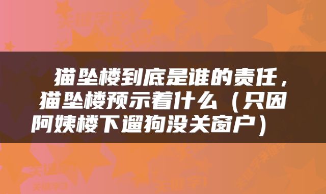  猫坠楼到底是谁的责任，猫坠楼预示着什么（只因阿姨楼下遛狗没关窗户） 