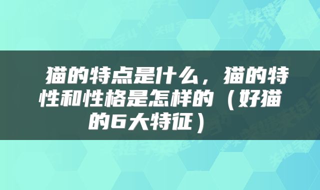  猫的特点是什么，猫的特性和性格是怎样的（好猫的6大特征） 