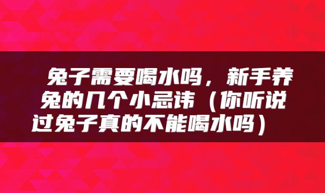 兔子需要喝水吗,新手养兔的几个小忌讳(你听说过兔子真的不能喝水吗)