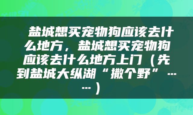盐城想买宠物狗应该去什么地方,盐城想买宠物狗应该去什么地方上门(先到盐城大纵湖“撒个野”……)