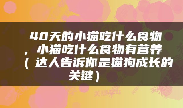  40天的小猫吃什么食物，小猫吃什么食物有营养（　达人告诉你是猫狗成长的关键） 