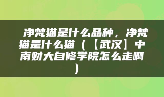  净梵猫是什么品种，净梵猫是什么猫（【武汉】中南财大自修学院怎么走啊） 