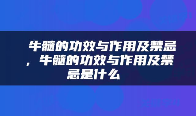  牛髓的功效与作用及禁忌，牛髓的功效与作用及禁忌是什么 