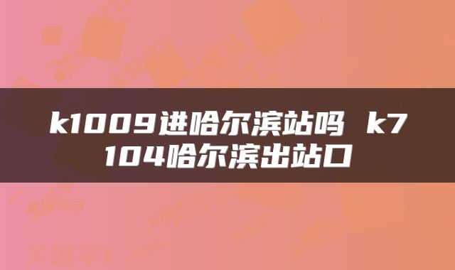 k1009进哈尔滨站吗 k7104哈尔滨出站口