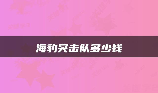 海豹突击队多少钱
