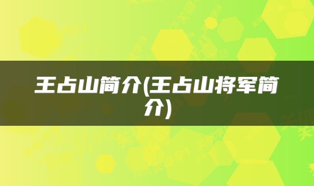 王占山简介(王占山将军简介)
