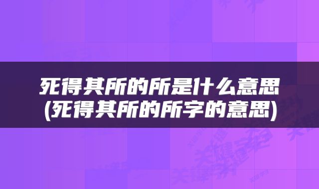死得其所的所是什么意思(死得其所的所字的意思)