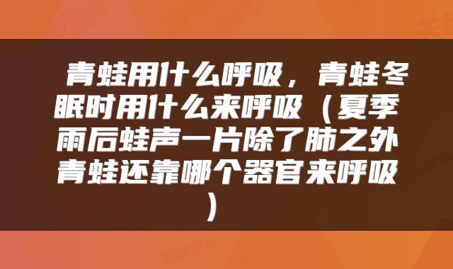  青蛙用什么呼吸，青蛙冬眠时用什么来呼吸（夏季雨后蛙声一片除了肺之外青蛙还靠哪个器官来呼吸） 