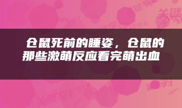  仓鼠死前的睡姿，仓鼠的那些激萌反应看完萌出血 