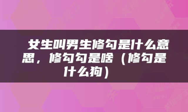  女生叫男生修勾是什么意思，修勾勾是啥（修勾是什么狗） 