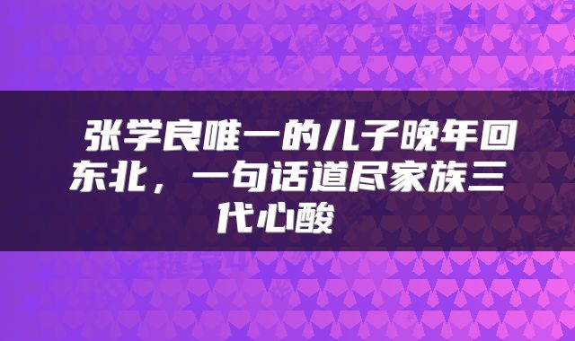  张学良唯一的儿子晚年回东北，一句话道尽家族三代心酸 