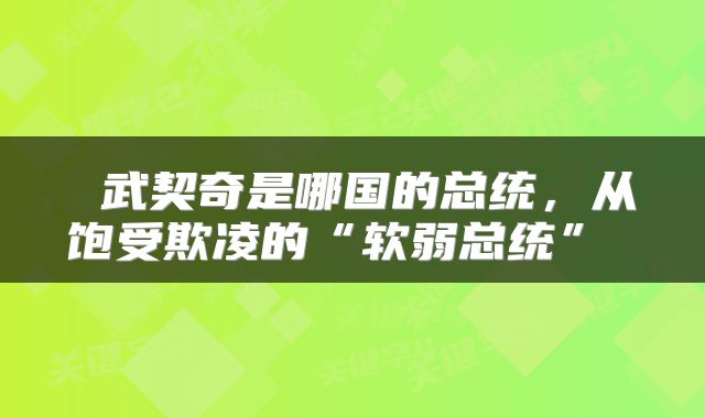 武契奇是哪国的总统,从饱受欺凌的“软弱总统”