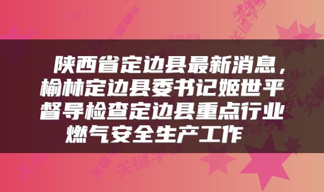  陕西省定边县最新消息，榆林定边县委书记姬世平督导检查定边县重点行业燃气安全生产工作 