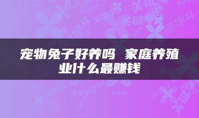 宠物兔子好养吗 家庭养殖业什么最赚钱