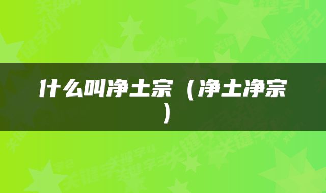 什么叫净土宗(净土净宗)