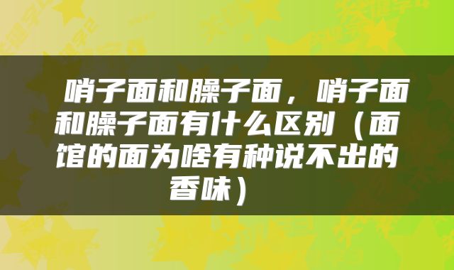 哨子面和臊子面,哨子面和臊子面有什么区别(面馆的面为啥有种说不出的香味)