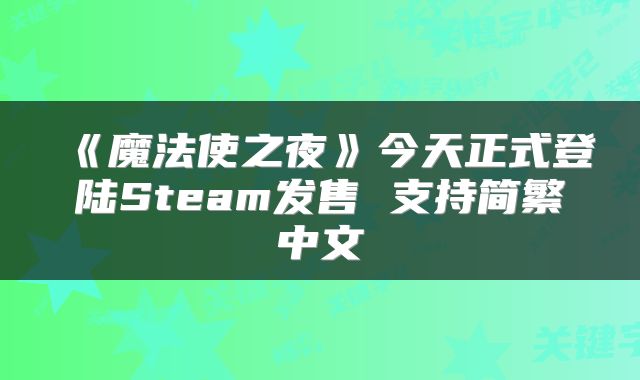 《魔法使之夜》今天正式登陆Steam发售 支持简繁中文