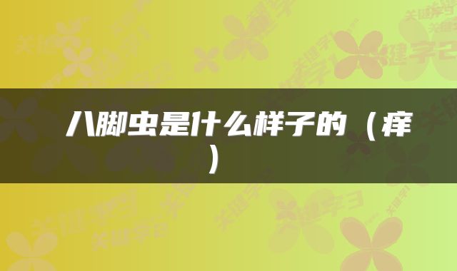  八脚虫是什么样子的（痒） 