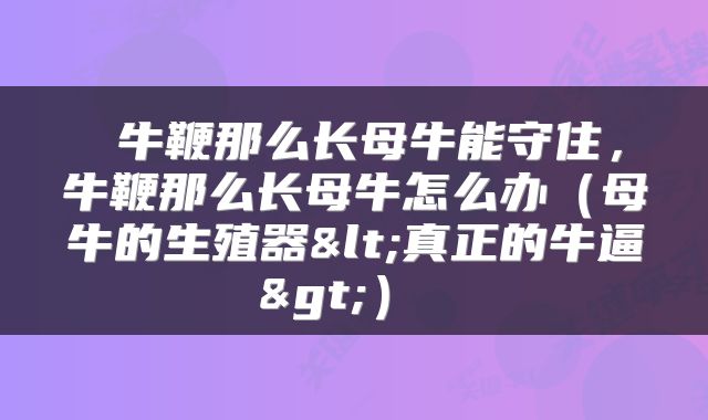  牛鞭那么长母牛能守住，牛鞭那么长母牛怎么办（母牛的生殖器<真正的牛逼>） 
