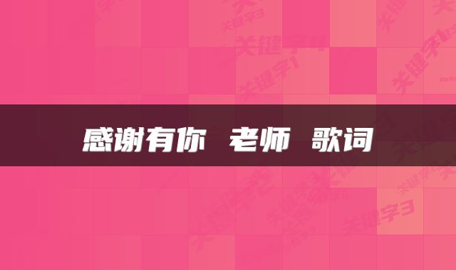 感谢有你 老师 歌词