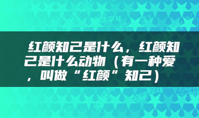  红颜知己是什么，红颜知己是什么动物（有一种爱，叫做“红颜”知己） 