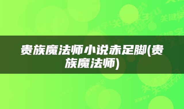 贵族魔法师小说赤足脚(贵族魔法师)