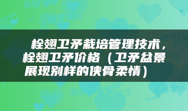  栓翅卫矛栽培管理技术，栓翅卫矛价格（卫矛盆景展现别样的侠骨柔情） 