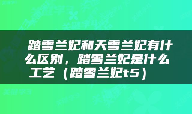  踏雪兰妃和天雪兰妃有什么区别，踏雪兰妃是什么工艺（踏雪兰妃t5） 
