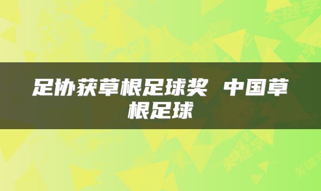 足协获草根足球奖 中国草根足球