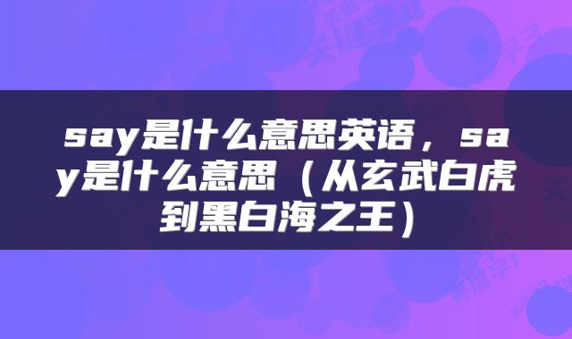 say是什么意思英语，say是什么意思（从玄武白虎到黑白海之王）
