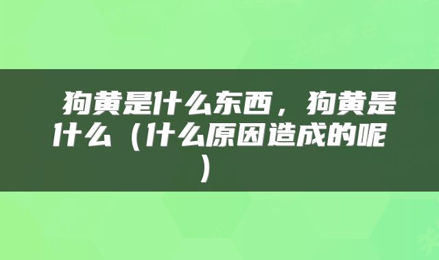  狗黄是什么东西，狗黄是什么（什么原因造成的呢） 