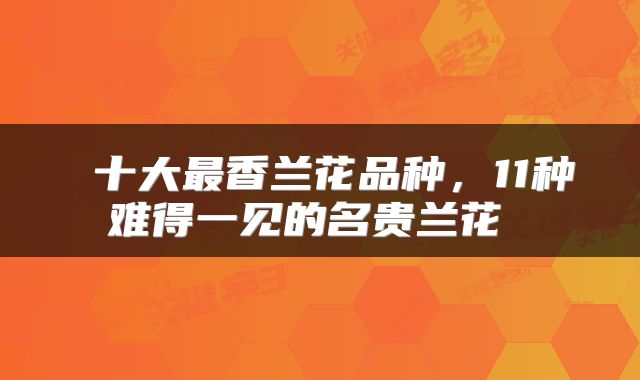 十大最香兰花品种,11种难得一见的名贵兰花