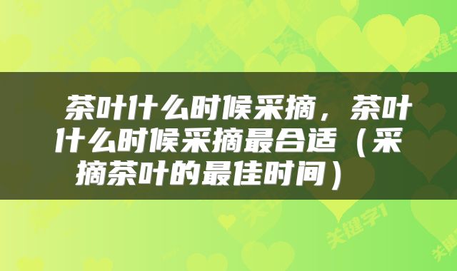 茶叶什么时候采摘,茶叶什么时候采摘最合适(采摘茶叶的最佳时间)