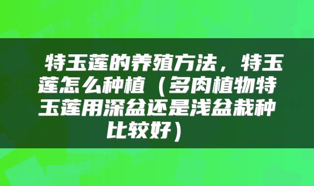 特玉莲的养殖方法，特玉莲怎么种植（多肉植物特玉莲用深盆还是浅盆栽种比较好） 