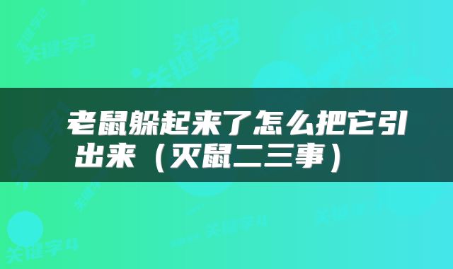 老鼠躲起来了怎么把它引出来(灭鼠二三事)