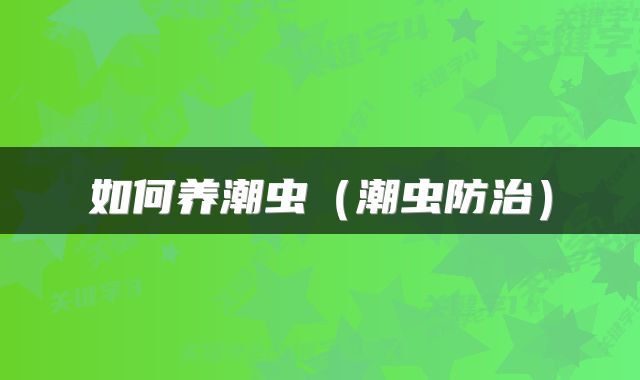 如何养潮虫（潮虫防治）
