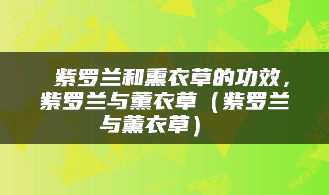  紫罗兰和熏衣草的功效，紫罗兰与薰衣草（紫罗兰与薰衣草） 